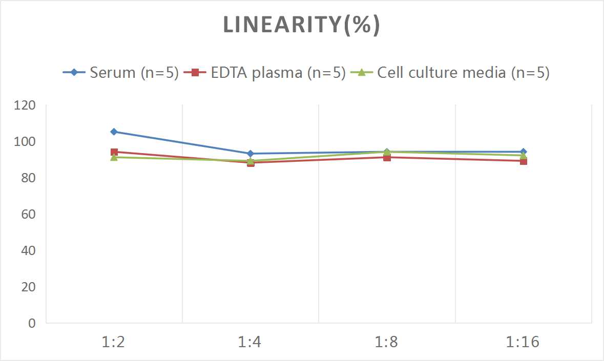 Monkey IgA ELISA Kit (Colorimetric)