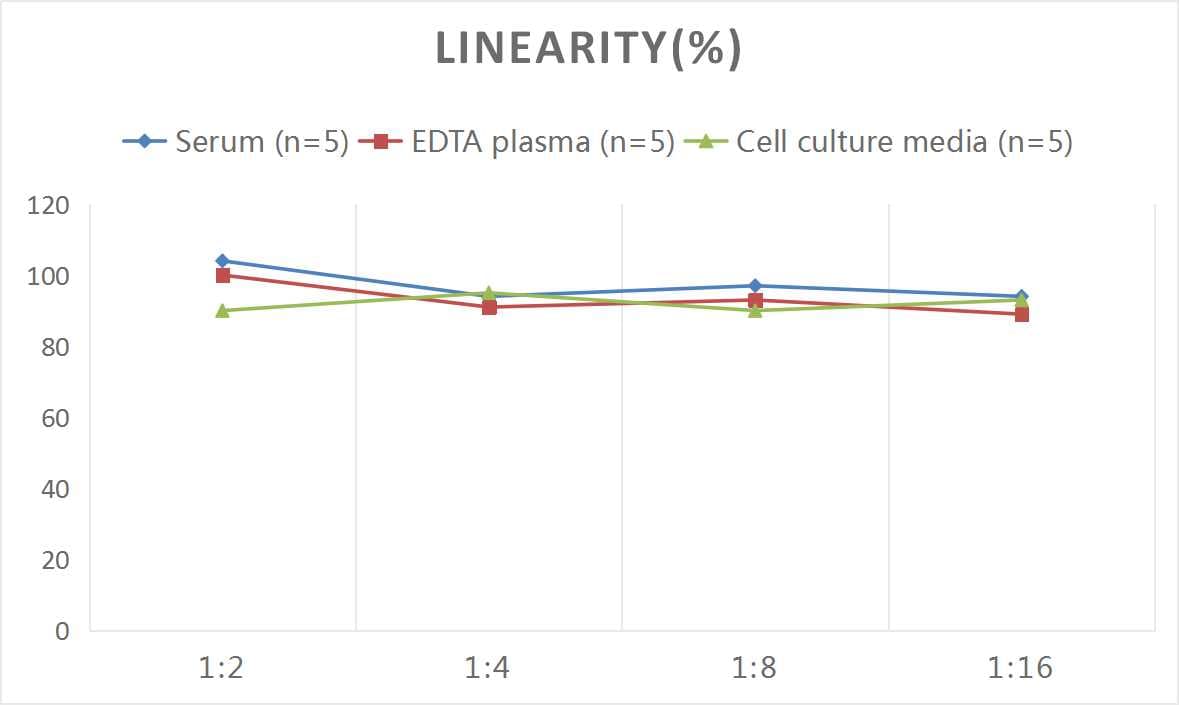 Mouse Cathepsin K ELISA Kit (Colorimetric)