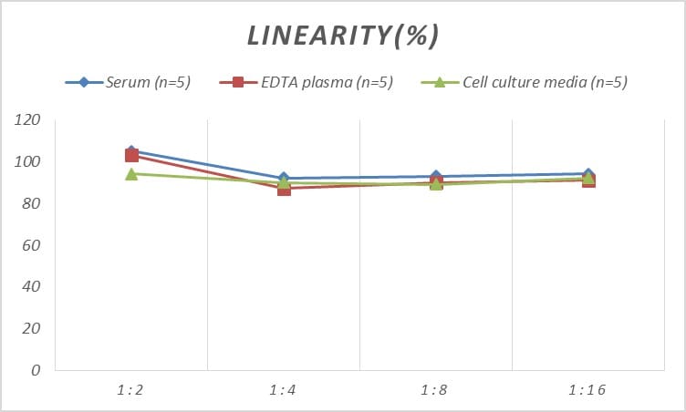 Mouse CYP7A1 ELISA Kit (Colorimetric)