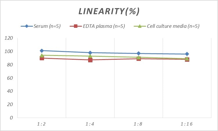 Mouse ERK1 ELISA Kit (Colorimetric)