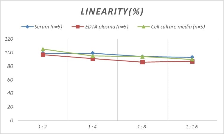Mouse GATA-4 ELISA Kit (Colorimetric)