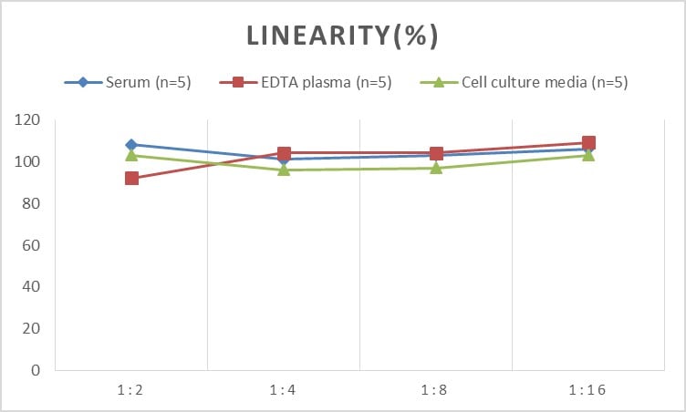 Mouse IgG1 ELISA Kit (Chemiluminescence)