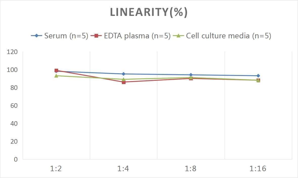 Mouse IgG2b ELISA Kit (Colorimetric)