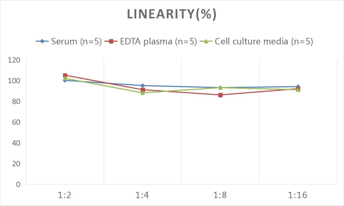Mouse alpha 1-Microglobulin ELISA Kit (Colorimetric)