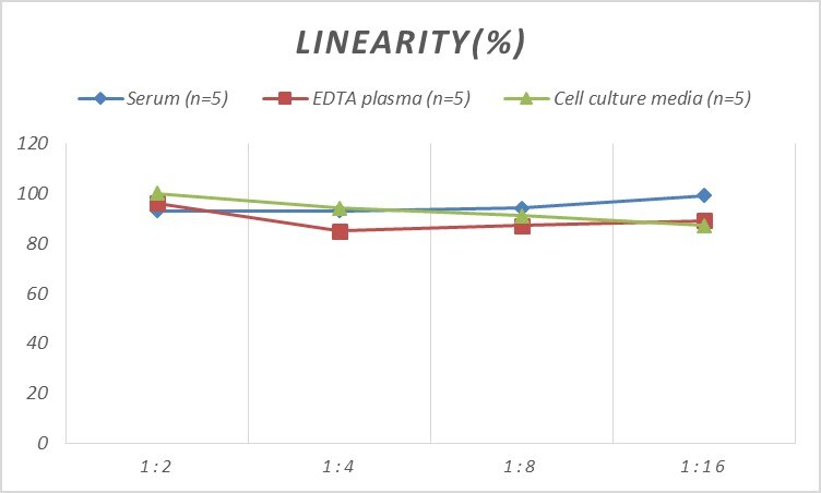 Rat CYP7A1 ELISA Kit (Colorimetric)