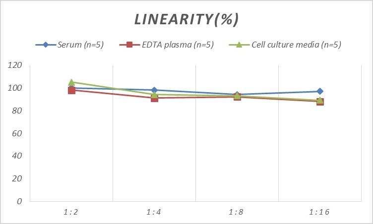 Rat ERK1 ELISA Kit (Colorimetric)
