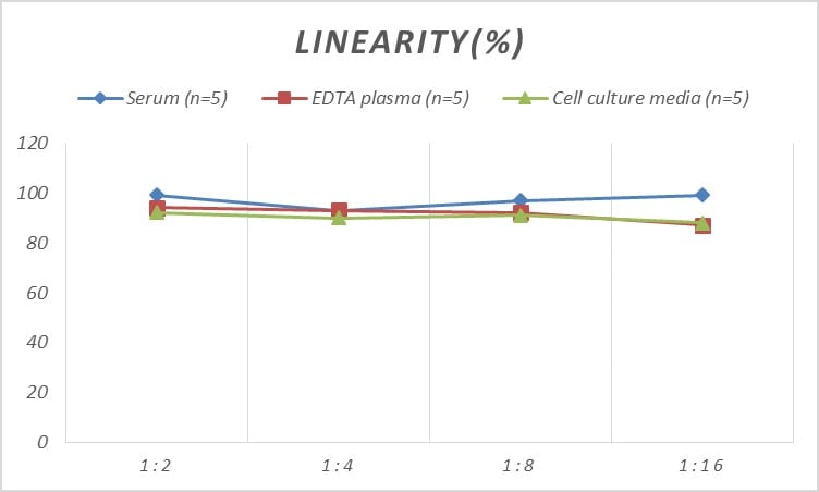 Rat FCER1G ELISA Kit (Colorimetric)