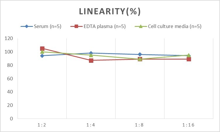 Rat GATA-1 ELISA Kit (Colorimetric)