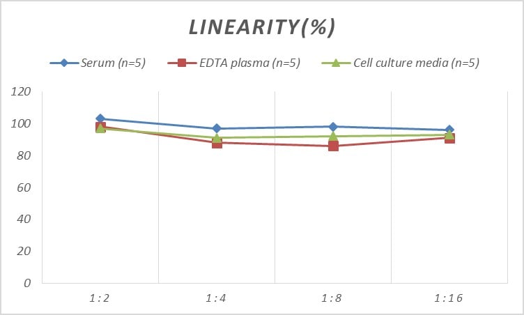Rat Serpin E2/PN1 ELISA Kit (Colorimetric)