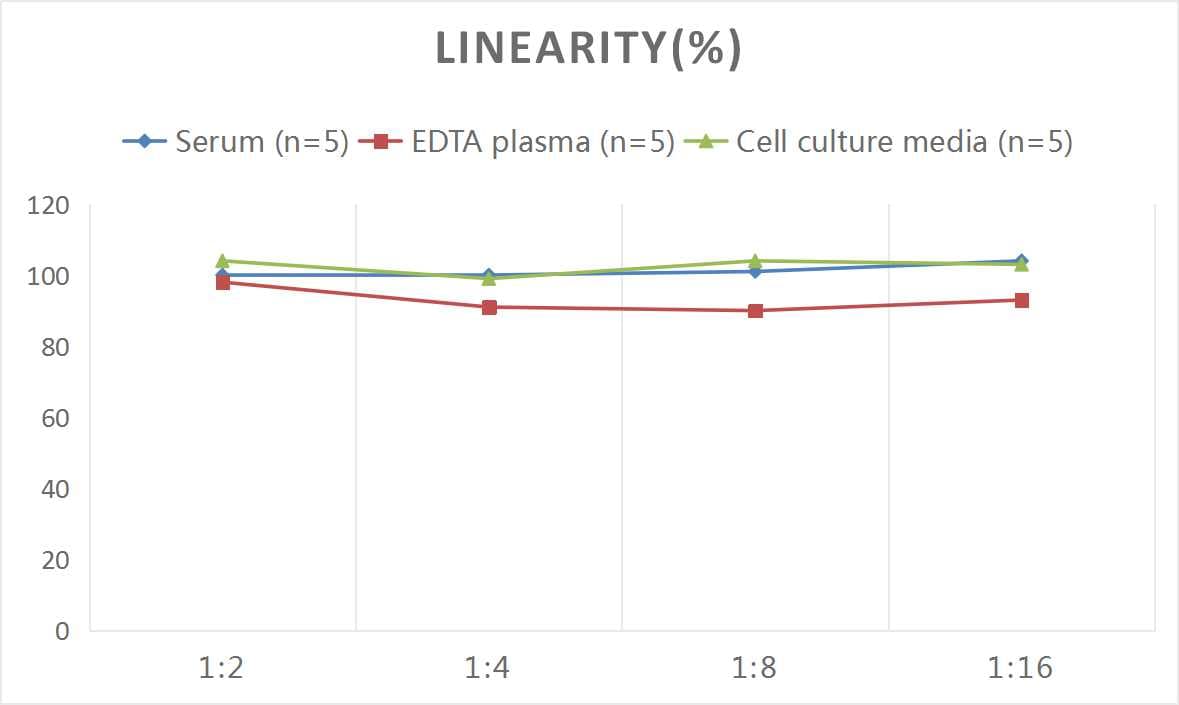 Rat IgG ELISA Kit (Colorimetric)