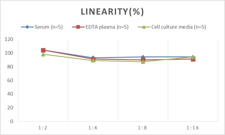Rat IgG2c ELISA Kit (Colorimetric)