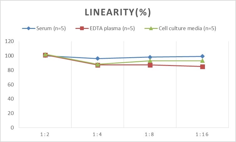 Rat Wnt-10b ELISA Kit (Colorimetric)