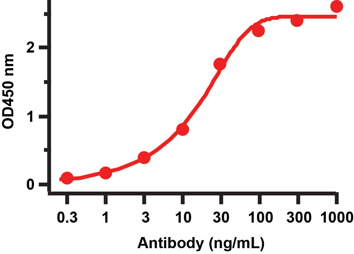 SARS-CoV-2 Spike S2 Antibody - BSA Free