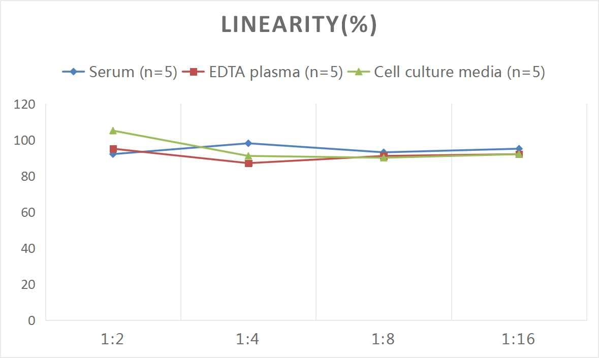 Human IL-12/IL-35 p35 ELISA Kit (Colorimetric)