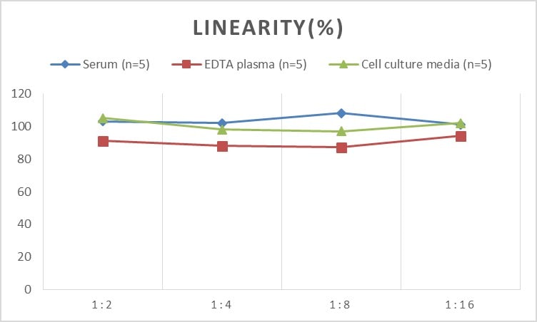 Rat IL-12/IL-35 p35 ELISA Kit (Colorimetric)