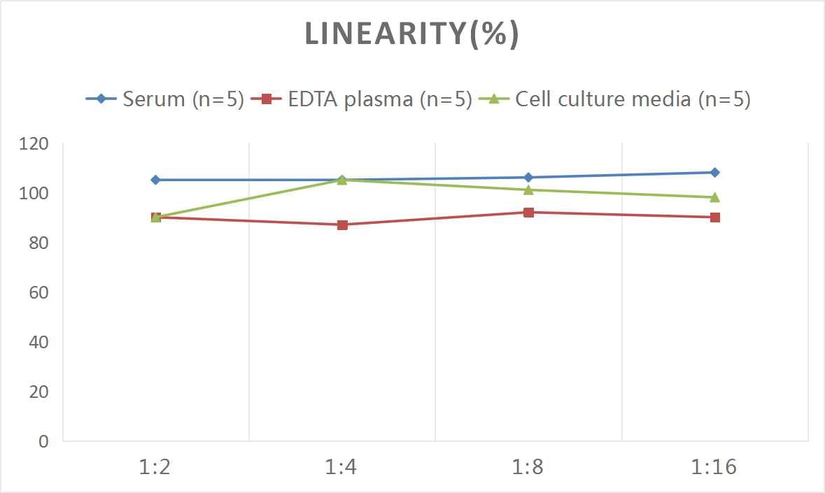 Mouse IL-24 ELISA Kit (Colorimetric)