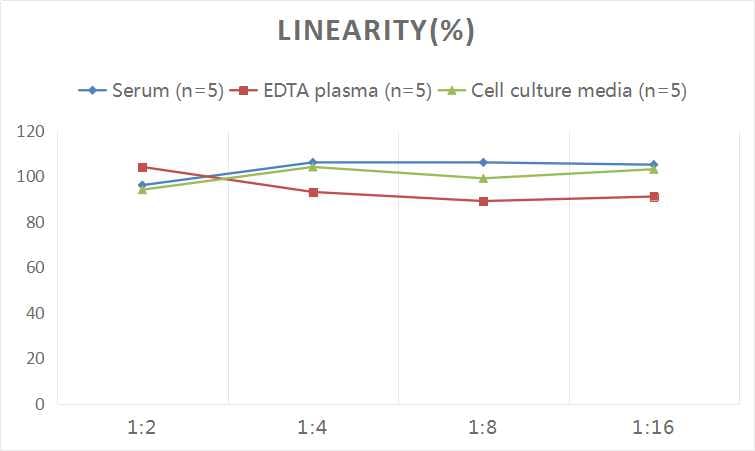 Human IL-12 ELISA Kit (Colorimetric)