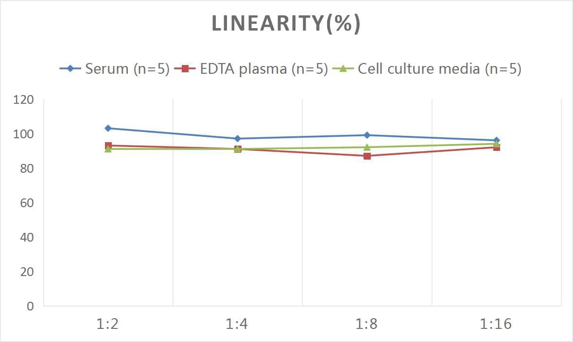 Mouse IL-35 ELISA Kit (Colorimetric)