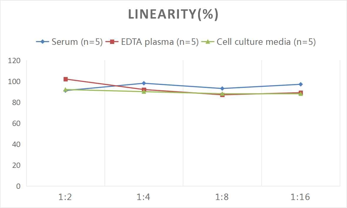 Rat MMP-12 ELISA Kit (Colorimetric)