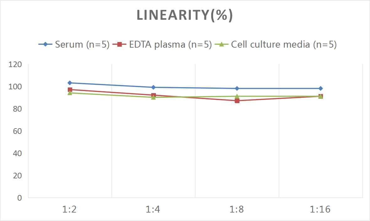 Rat IL-5 ELISA Kit (Colorimetric)