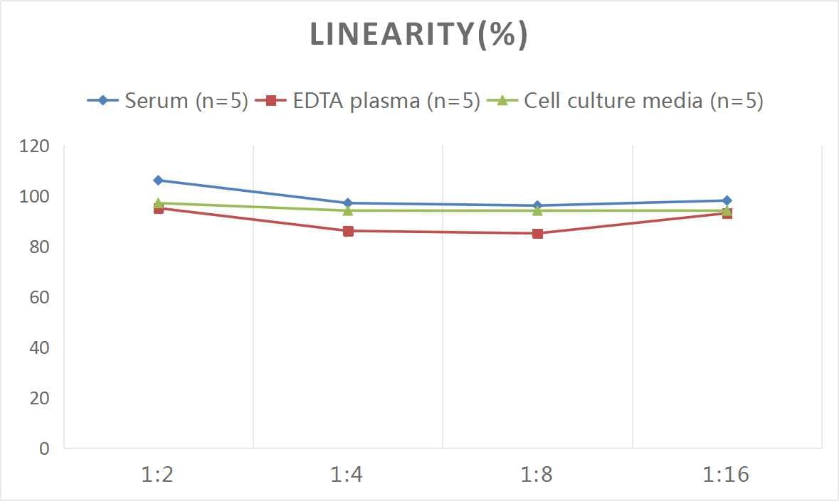 Human IL-4I1 ELISA Kit (Colorimetric)