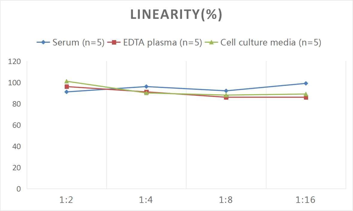 Rat IL-3 ELISA Kit (Colorimetric)