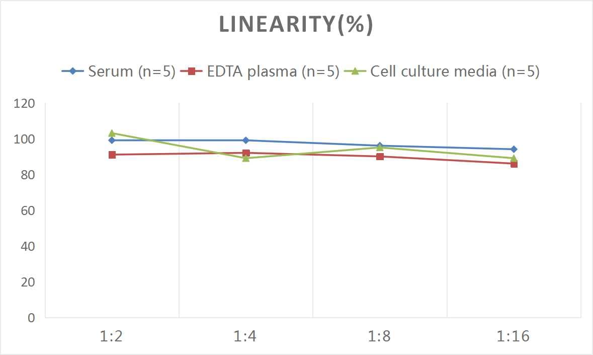 Human IL-27 ELISA Kit (Colorimetric)