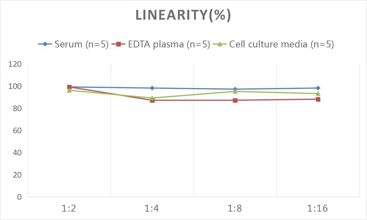 Human IL-28A/IFN-lambda 2 ELISA Kit (Colorimetric)