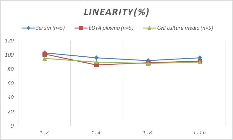 Human IL-2 R beta ELISA Kit (Colorimetric)