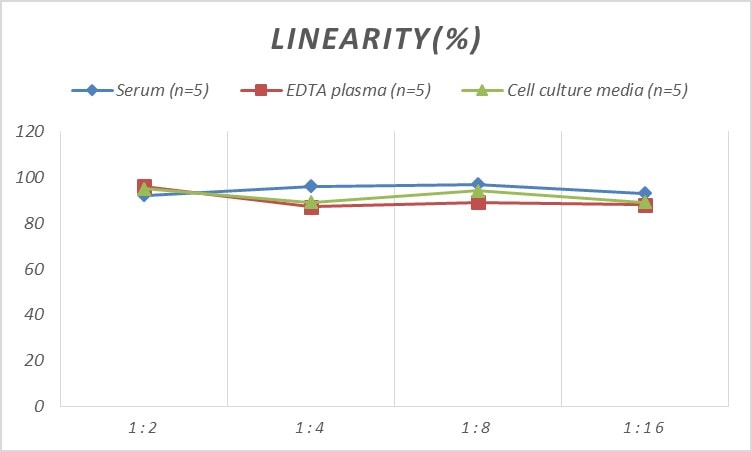 Human IL-10 R beta ELISA Kit (Colorimetric)