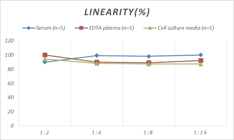 Rat IL-10 R beta ELISA Kit (Colorimetric)