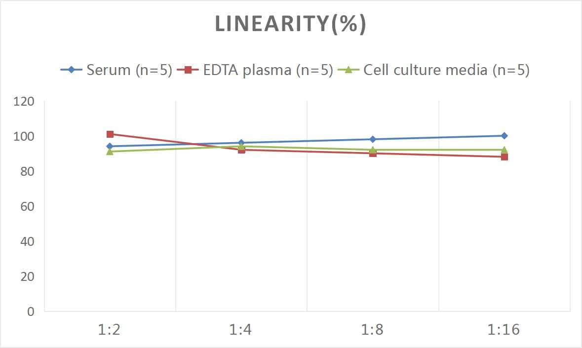 Rat IL-13 ELISA Kit (Colorimetric)