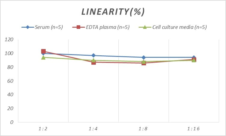 Rat IFI16 ELISA Kit (Colorimetric)
