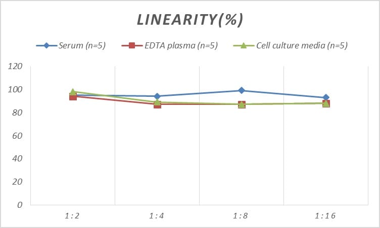 Mouse IFN-alpha 4 ELISA Kit (Colorimetric)