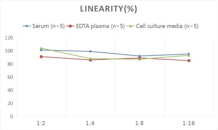 Human Calreticulin ELISA Kit (Colorimetric)