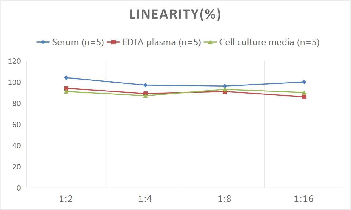Mouse Calreticulin ELISA Kit (Colorimetric)