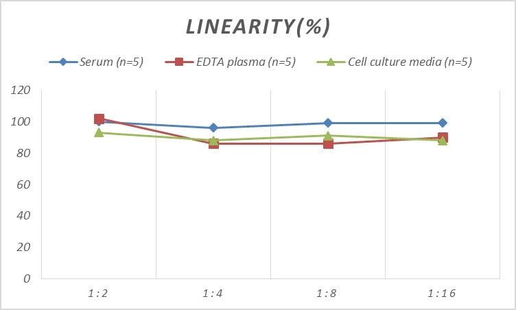Rat Calreticulin ELISA Kit (Colorimetric)