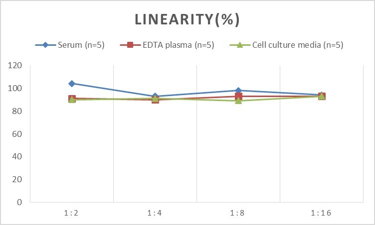 Mouse Calcitonin R ELISA Kit (Colorimetric)
