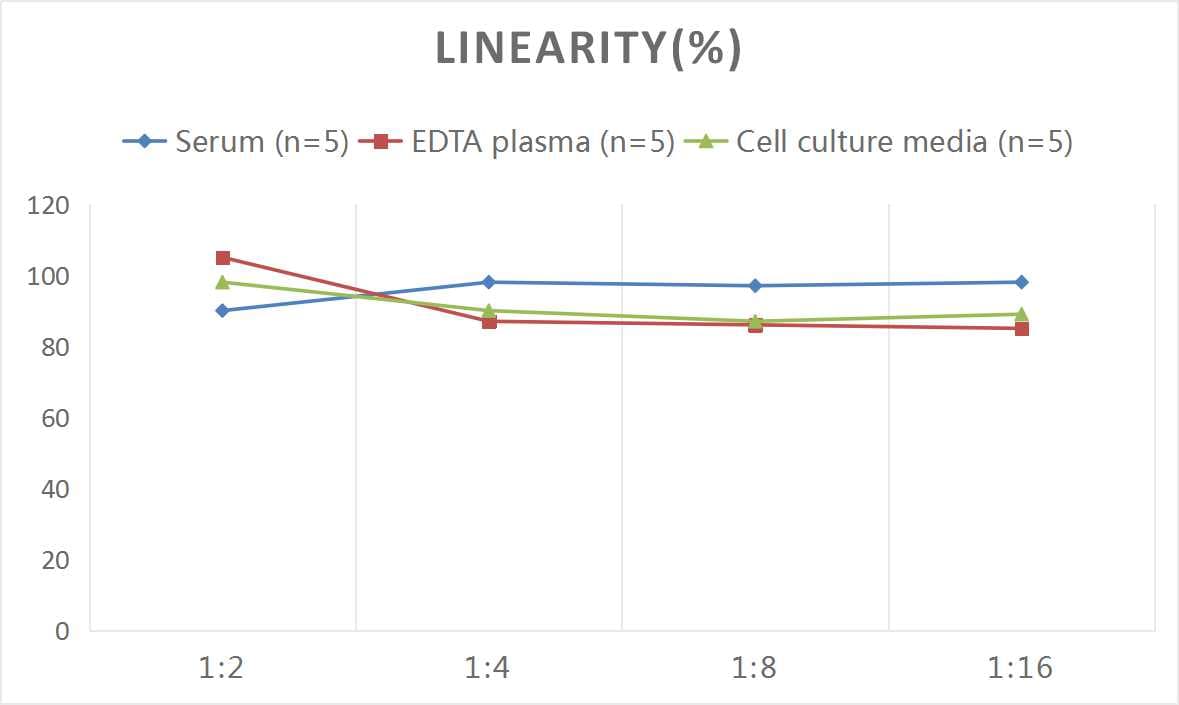 Rat CX3CL1/Fractalkine ELISA Kit (Colorimetric)