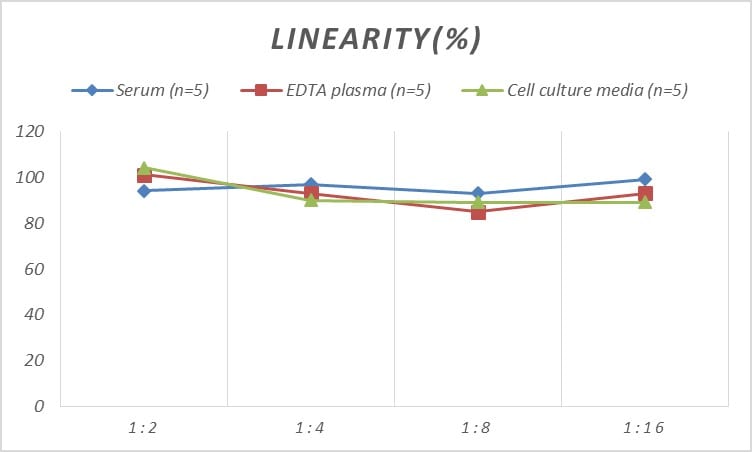 Mouse Connexin 43/GJA1 ELISA Kit (Colorimetric)