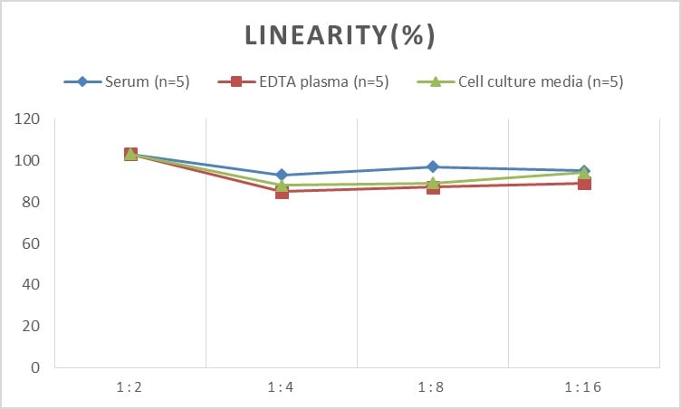 Rat Connexin 43/GJA1 ELISA Kit (Colorimetric)