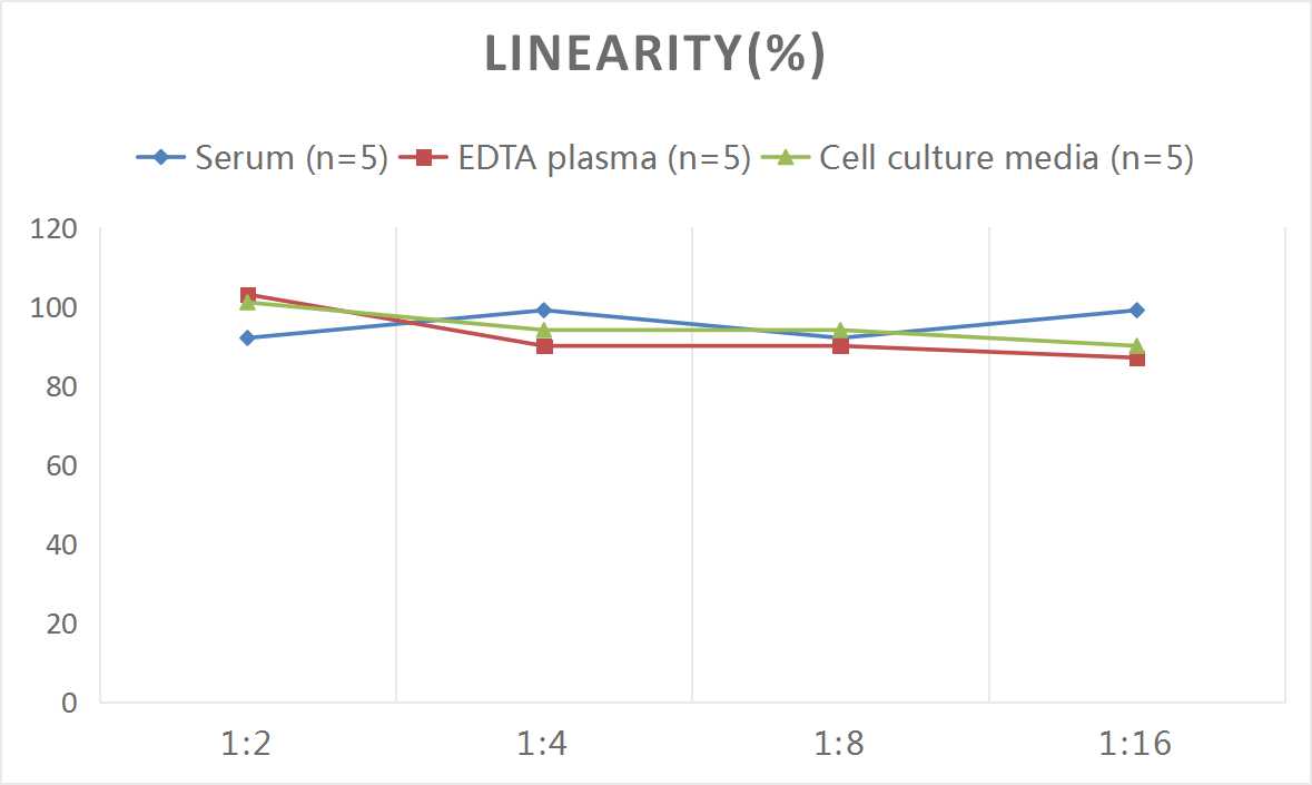 Human CXCR2/IL-8RB ELISA Kit (Colorimetric)