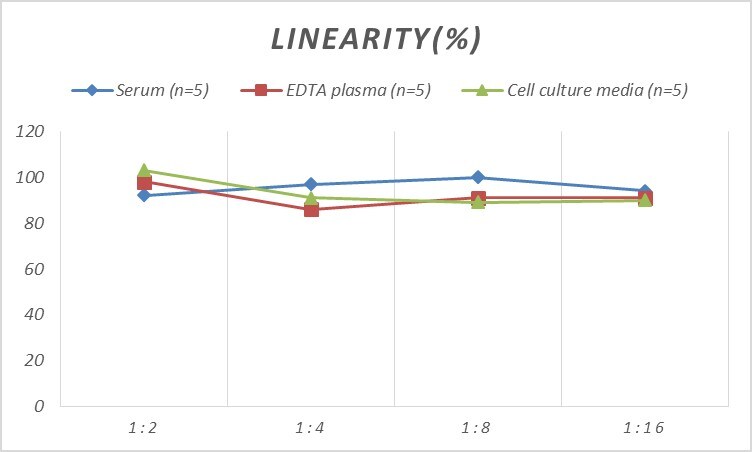 Mouse CXCR3 ELISA Kit (Colorimetric)