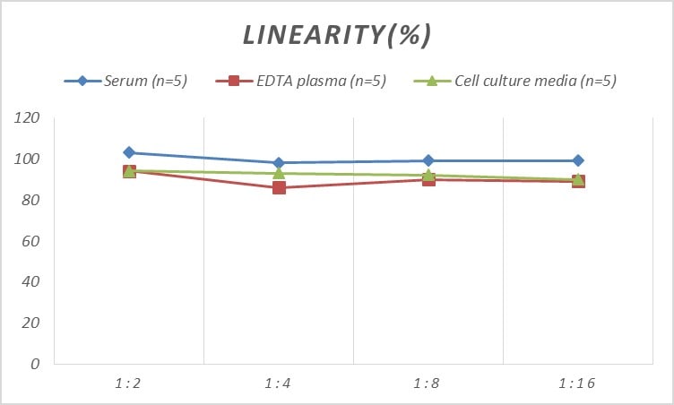 Mouse Cyclophilin B ELISA Kit (Colorimetric)