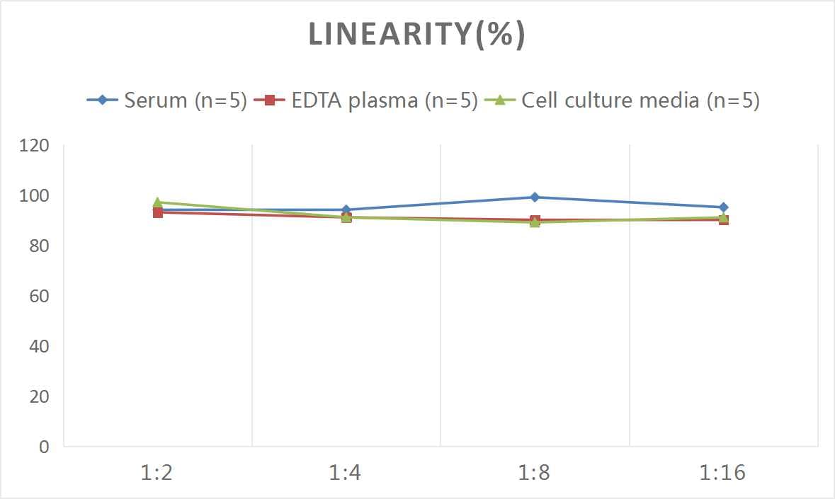 Human Cyclophilin 40 ELISA Kit (Colorimetric)