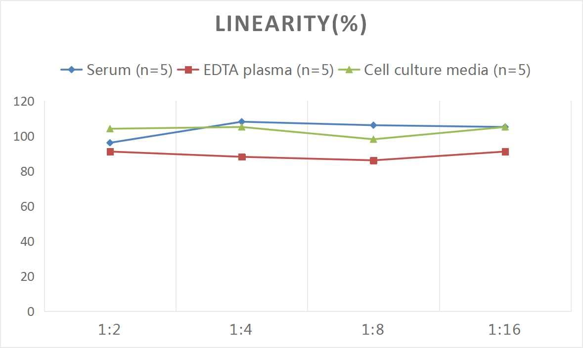 Rat IL-16 ELISA Kit (Colorimetric)