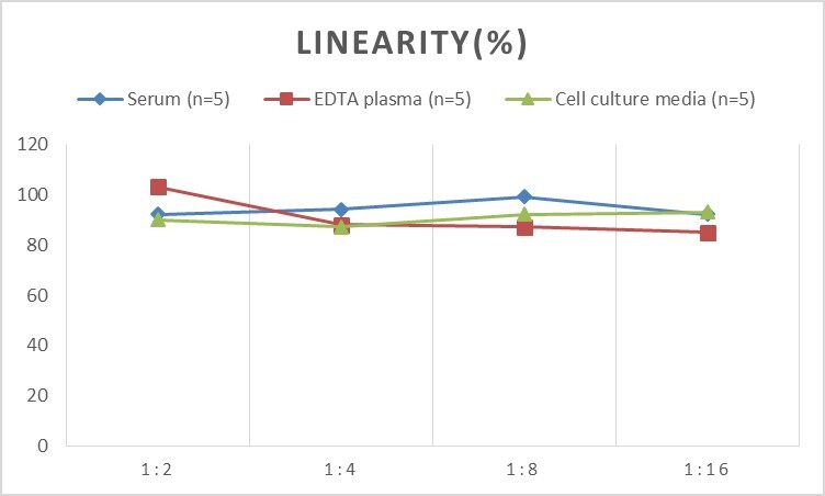 Rat MMP-17 ELISA Kit (Colorimetric)
