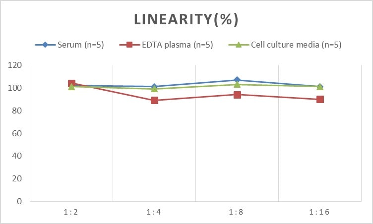 Rat MMP-24/MT5-MMP ELISA Kit (Colorimetric)