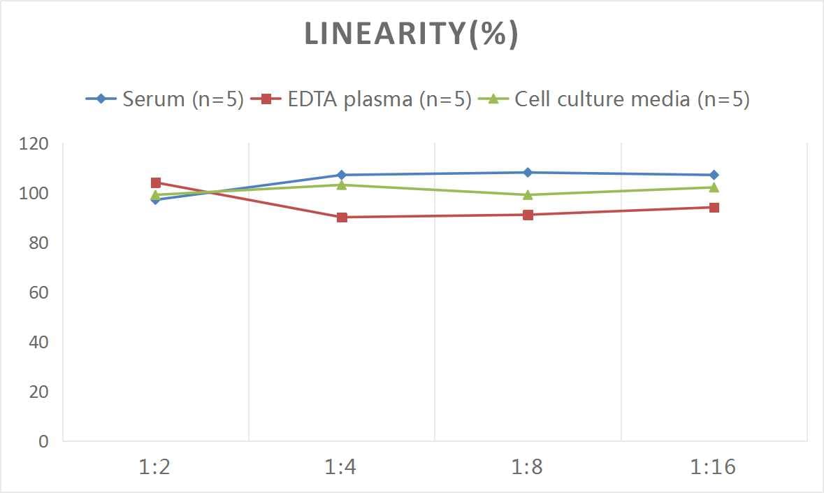Mouse MMP-7 ELISA Kit (Colorimetric)