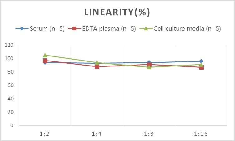 Rabbit MMP-3 ELISA Kit (Colorimetric)